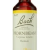 Original Bach-Blüte Hornbeam Tropfen 10 ml