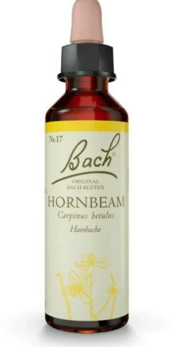 Original Bach-Blüte Hornbeam Tropfen 10 ml
