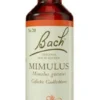 Original Bach-Blüte Mimulus Tropfen 10 ml