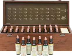 Original Bachblüten Professional Set 40 x 20 ml in Holzkiste