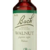 Original Bach-Blüte Walnut Tropfen 10 ml