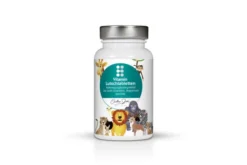 Orthodoc Vitamin 60 Lutschtabletten