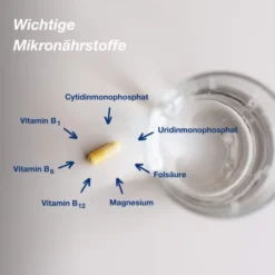 Orthomol neuro 90 Kapseln