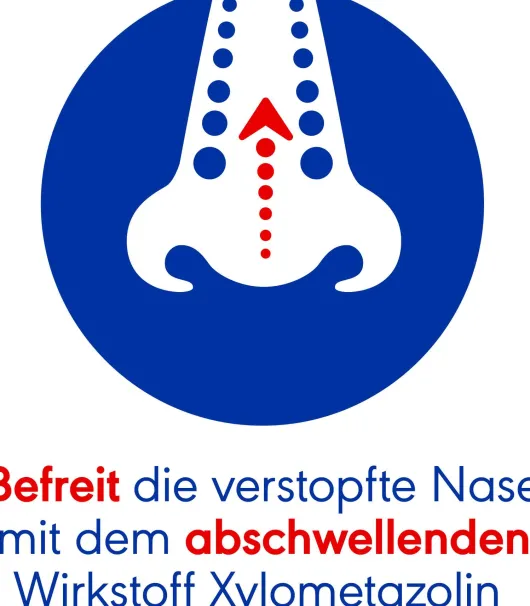Otriven SinuSpray 0,1 % Nasenspray 10 ml