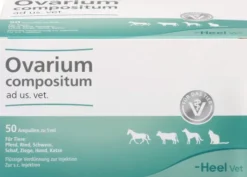 Ovarium Compositum Ad Us. vet. 50 X 5 ml Ampullen