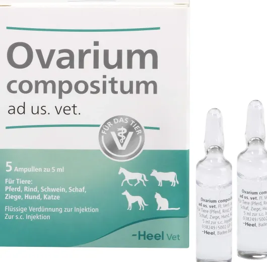 Ovarium Compositum vet. 5 X 5 ml Ampullen