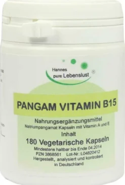 Pangam Vitamin B15 Vegi Kapseln