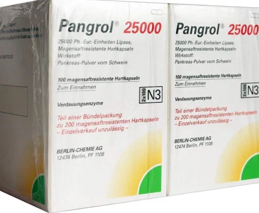 Pangrol 25000 200 Hartkapseln Mit Magensaftresistentem Überzug