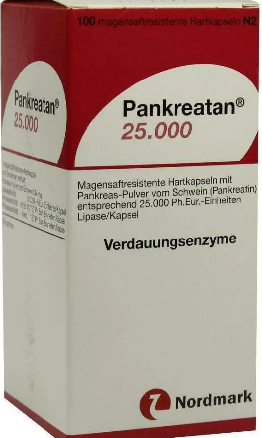 Pankreatan 25.000 100 Kapseln