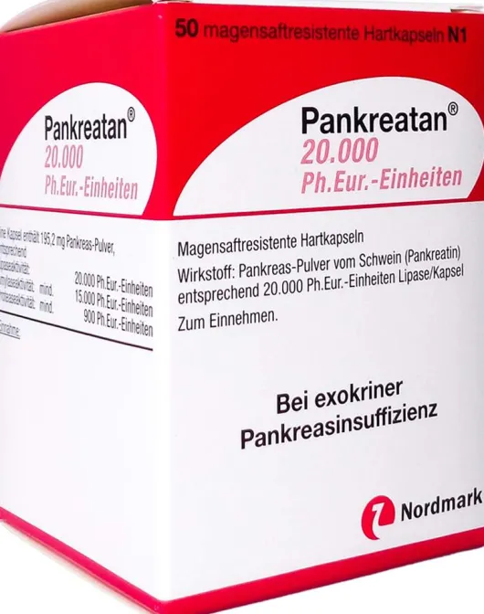 Pankreatan 20.000 Ph.Eur.-Einheiten 50 Magensaftresistente...
