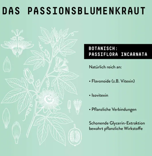 Passionsblume Extrakt Kräuter Tropfen alkoholfrei 100 ml