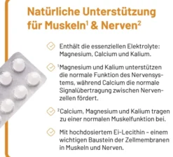 Phosetamin NE 100 Tabletten