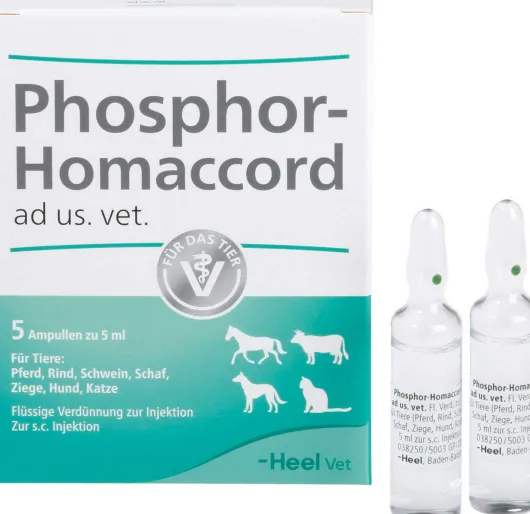 Phosphor Homaccord Ad Us.Vet.Ampullen 5 Stück