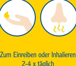 Pinimenthol Erkältungssalbe 20 g