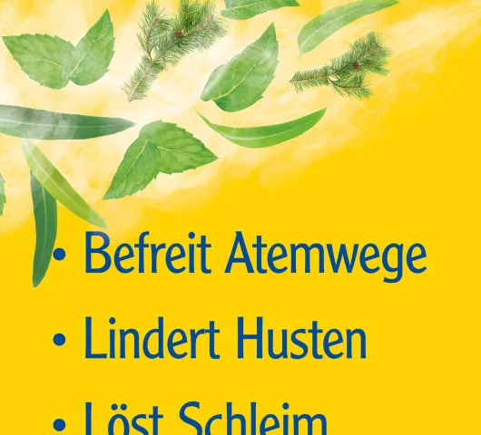 Pinimenthol Erkältungssalbe 50 g