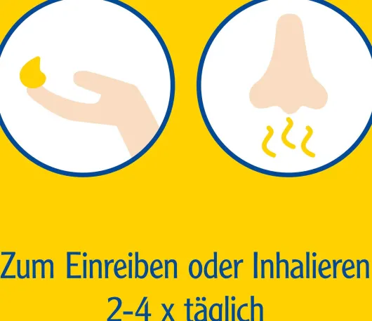 Pinimenthol Erkältungssalbe 100g