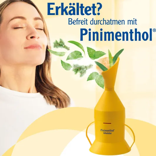 Pinimenthol Inhalator 1 Stück