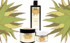 Plantana Aloe Vera Pflege Duschbad 500 ml