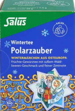 Polarzauber Früchte-Gewürztee Bio Salus Filterbeutel 15 Stück