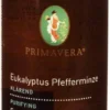 Primavera Eukalyptus Pfefferminze Sauna-Konzentrat Bio 100 ml