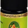 Primavera Eukalyptus Radiata Ätherisches Öl Bio 5 ml
