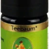 Primavera Teebaum Öl Kba 5 ml Ätherisches Öl