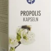 Propolis Kapseln