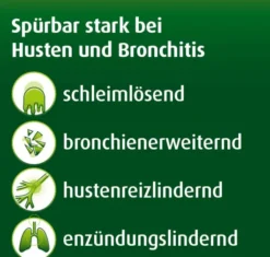 Prospan Hustenliquid 2 x 30 Beutel à 5 ml