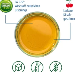 Prospan Hustensaft 2 x 200 ml Saft