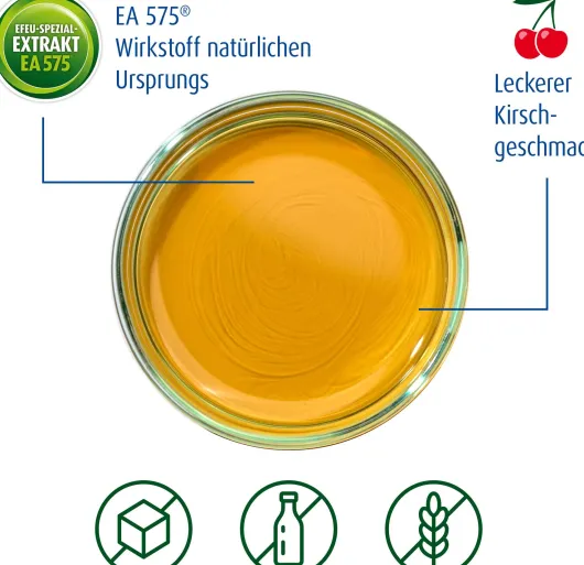 Prospan Hustensaft 2 x 200 ml Saft
