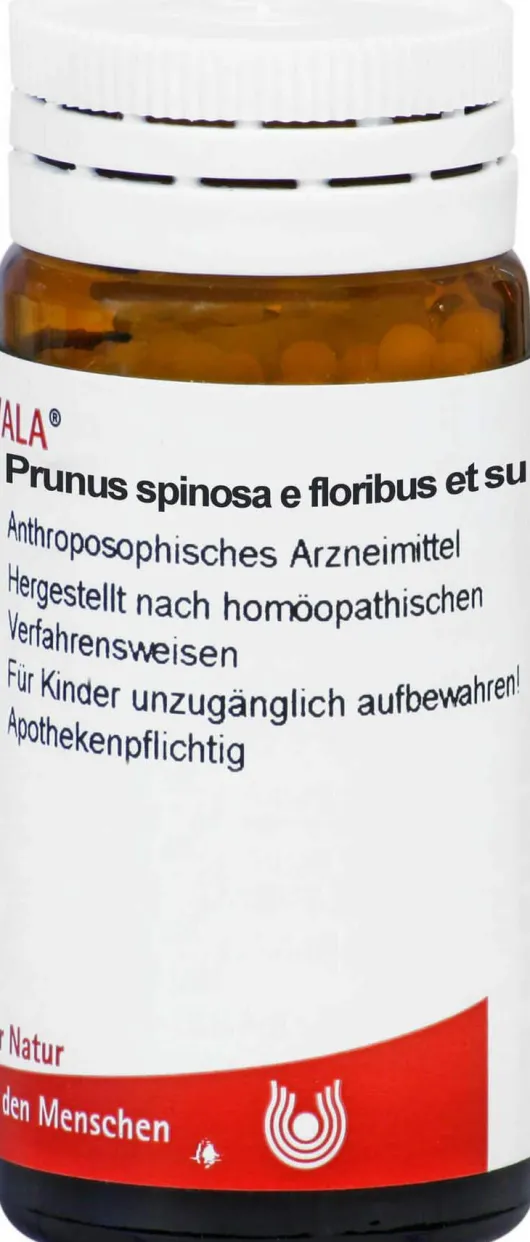 Prunus Spinosa E Floribus Et Summitatibus D 2 Globuli 20 G