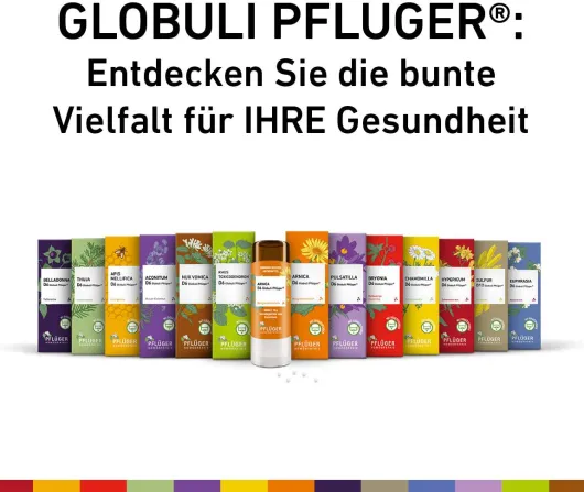 Pulsatilla D12 Globuli Pflüger Globulispender 10 g