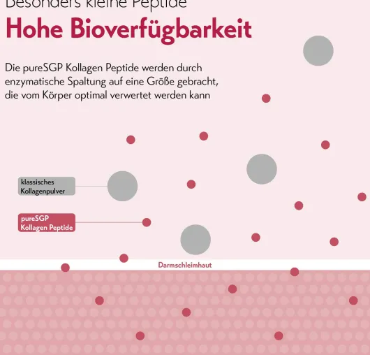 PureSGP Kollagen Peptide 600 g Pulver