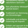 Quercetin Kapseln 500 mg Hochdosiert 90 Stk