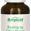 Raumspray Citrus Dream 30 ml