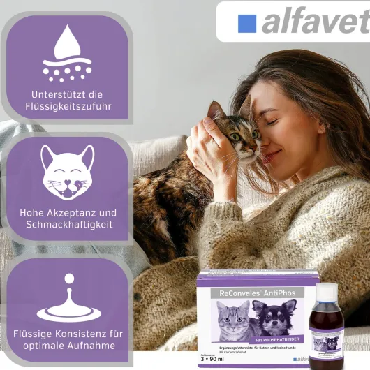 Reconvales AntiPhos 3 x 90 ml Flüssigkeit für kleine Hunde und Katzen