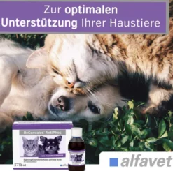 Reconvales AntiPhos 3 x 90 ml Flüssigkeit für kleine Hunde und Katzen