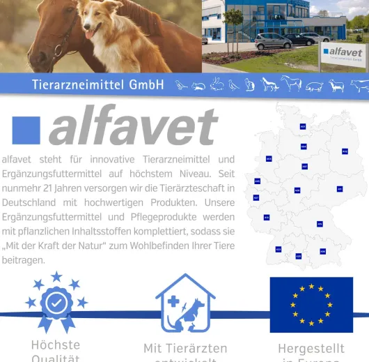 Reconvales AntiPhos 3 x 90 ml Flüssigkeit für kleine Hunde und Katzen