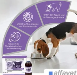 Reconvales AntiPhos 3 x 90 ml Flüssigkeit für kleine Hunde und Katzen