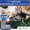 Reconvales Energy Diätergänzungsfuttermittel 180 ml Flüssigkeit für Katzen und kleine Hunde