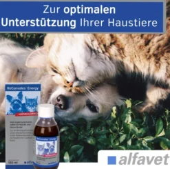 Reconvales Energy Diätergänzungsfuttermittel 180 ml Flüssigkeit für Katzen und kleine Hunde