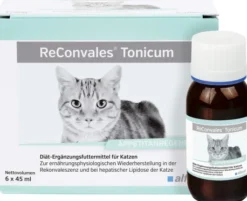 Reconvales Tonicum für Katzen 6 X 45 ml Tonikum