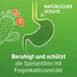 Refluthin Kautabletten Minzgeschmack 2 x 48 Stück