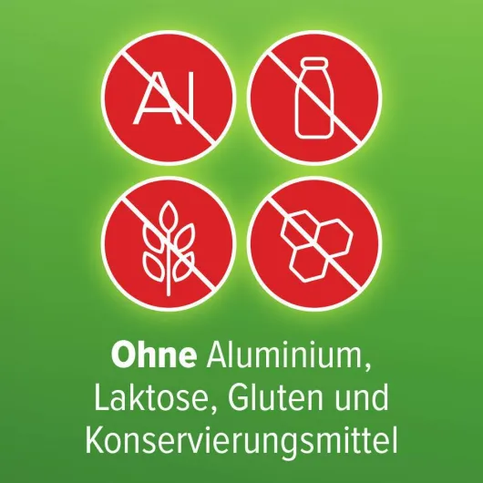 Refluthin Kautabletten Minzgeschmack 2 x 48 Stück