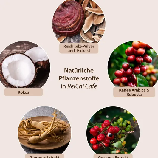 Reichi Cafe Reishi - Pilz Kaffee Kokos Vegan 400 G Pulver