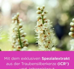 Remifemin plus Johanniskraut 180 Filmtabletten
