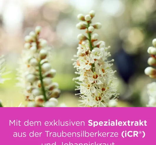 Remifemin Plus Johanniskraut 60 Filmtabletten