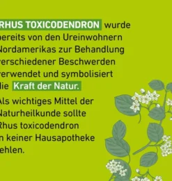 Rhus Toxicodendron C 30 Globuli Pflüger Globulispender 10 g