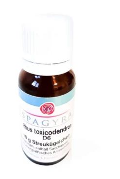 Rhus Toxicodendron D6 10 G Globuli