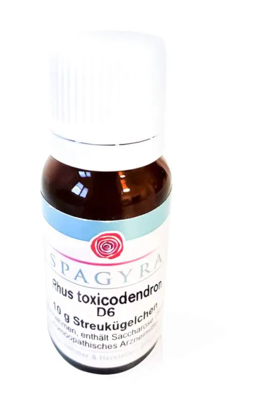 Rhus Toxicodendron D6 10 G Globuli